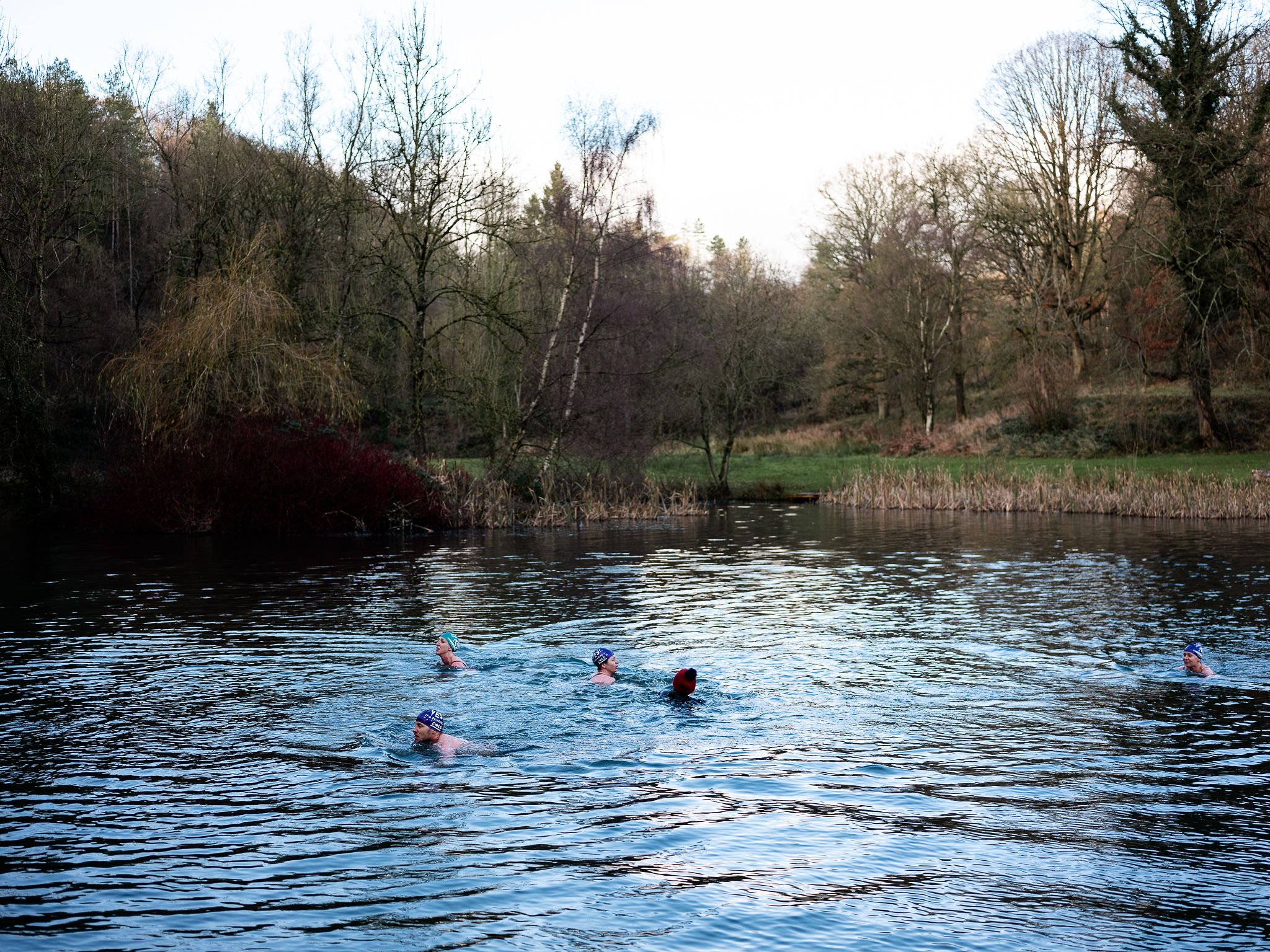 wild water swimmers