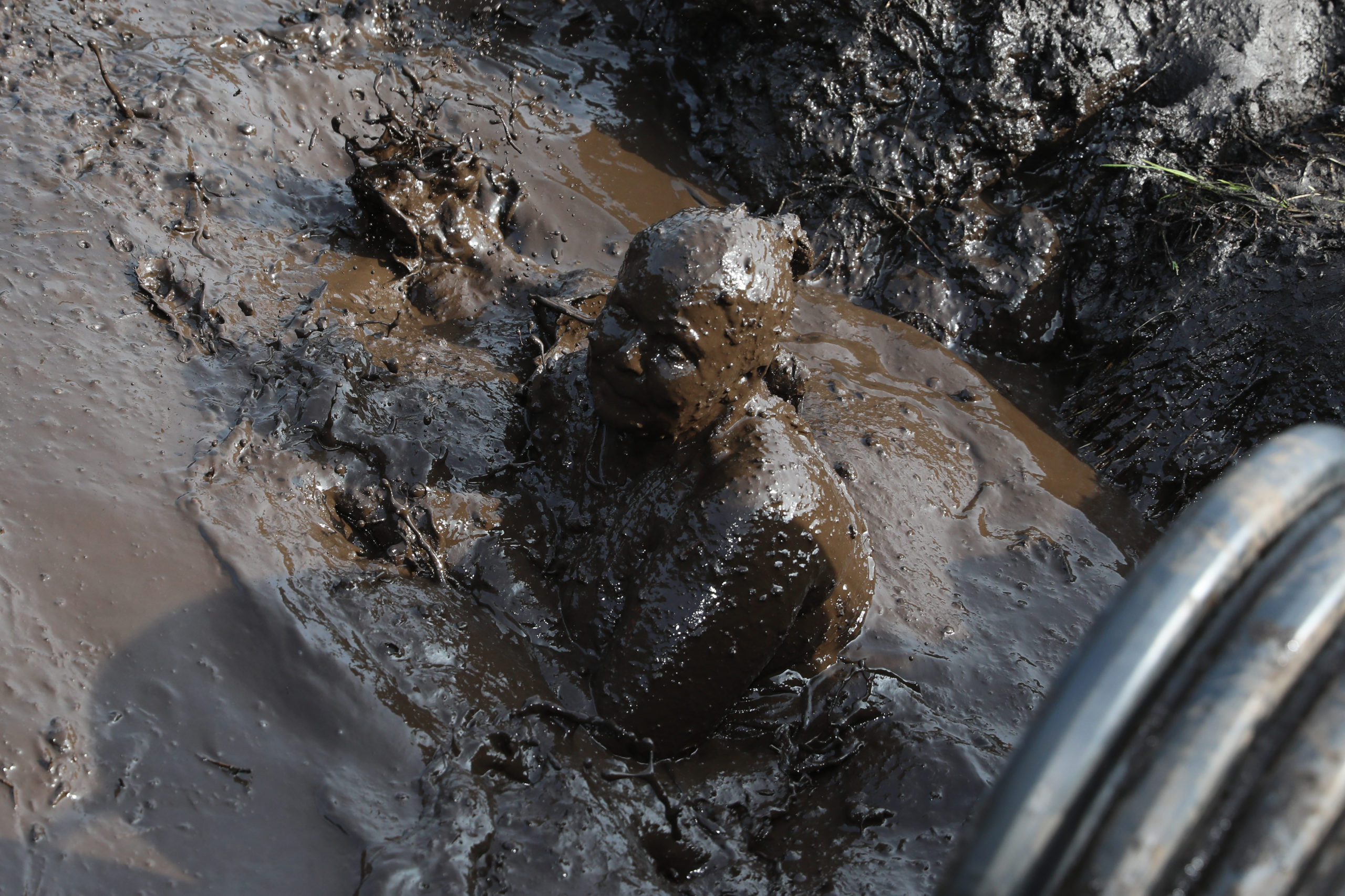 man in mud